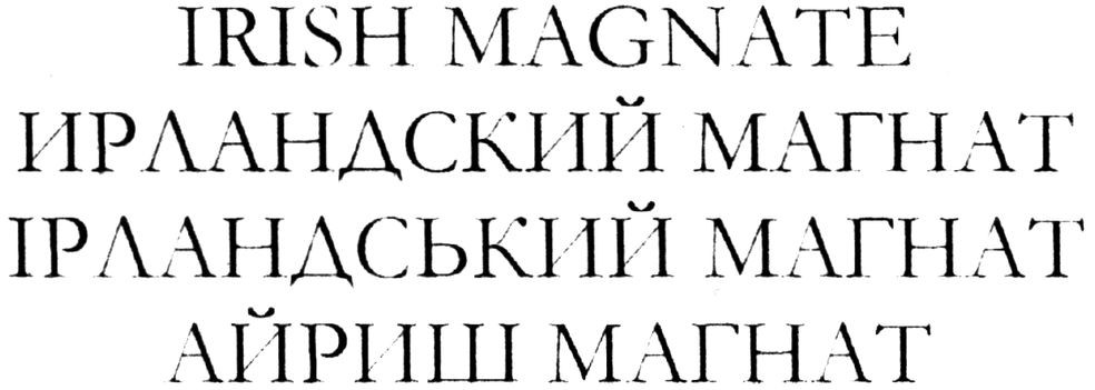 ірландський магнат