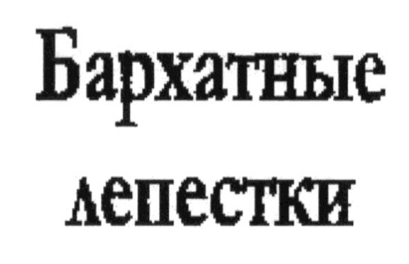 бархатные лепестки