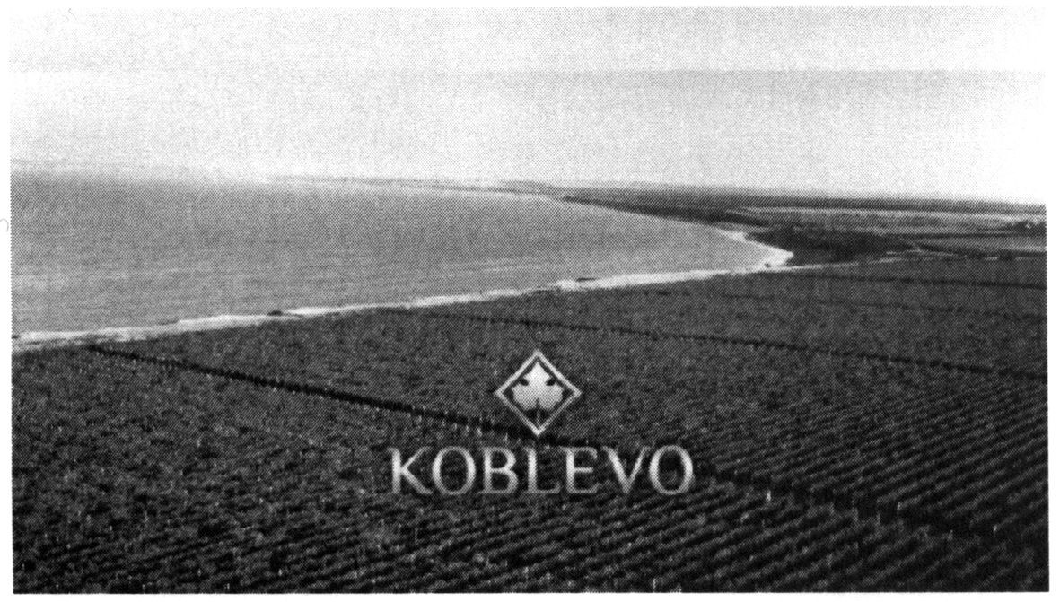 коблево
