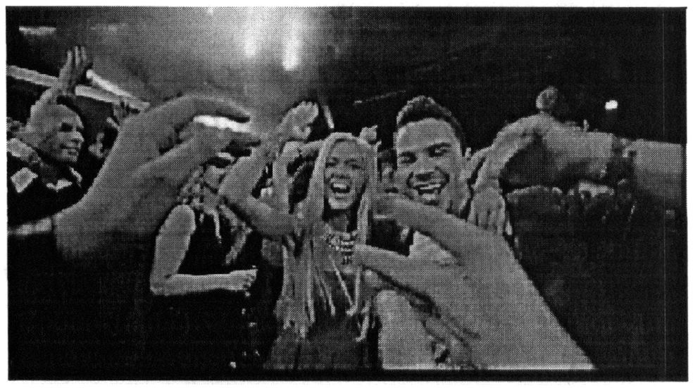Фігуративна марка № 209052