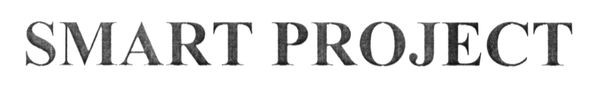 smart project