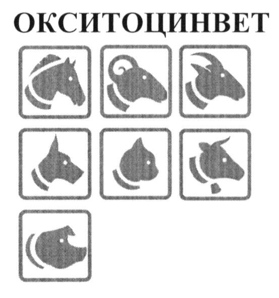 окситоцинвет