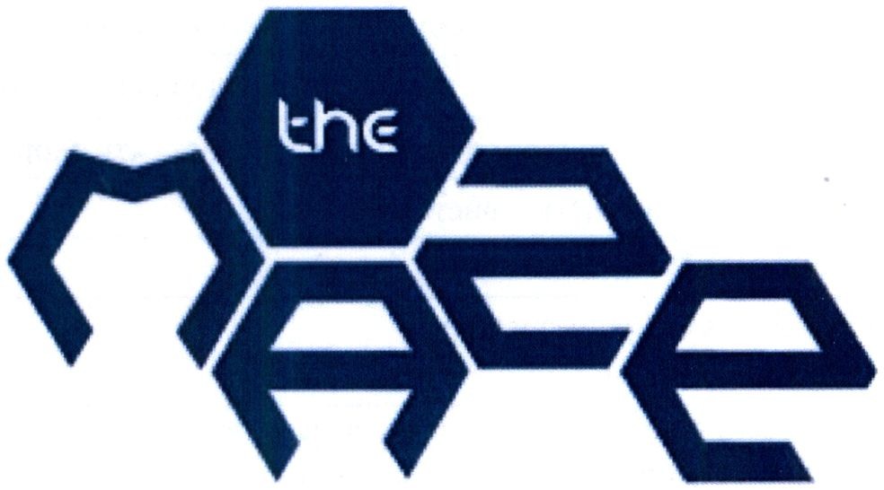 the maze
