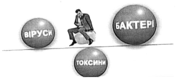 бактерії