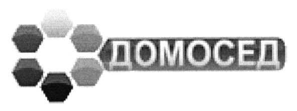 домосед