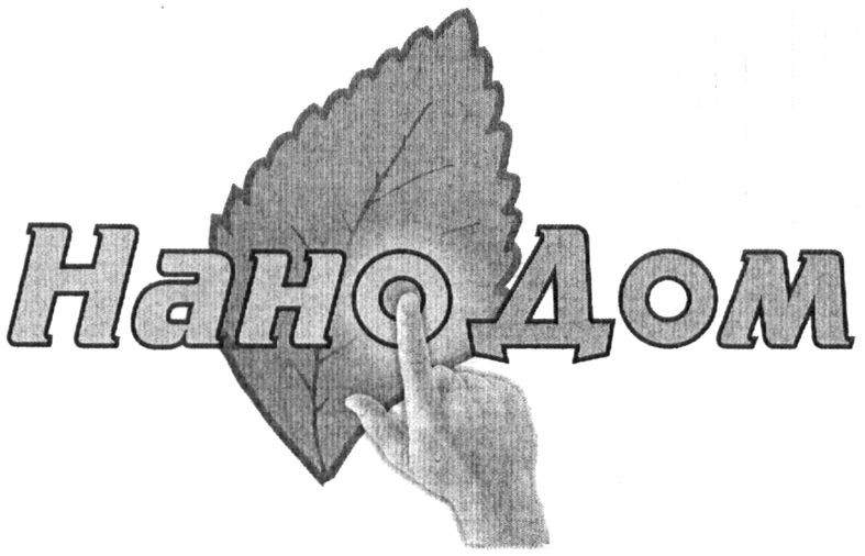 нанодом
