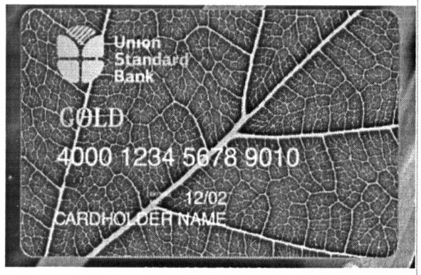 union standard bank