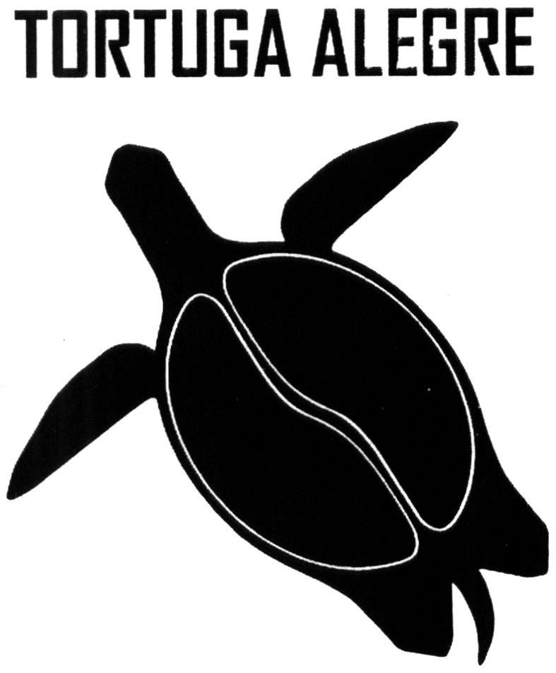 tortuga alegre