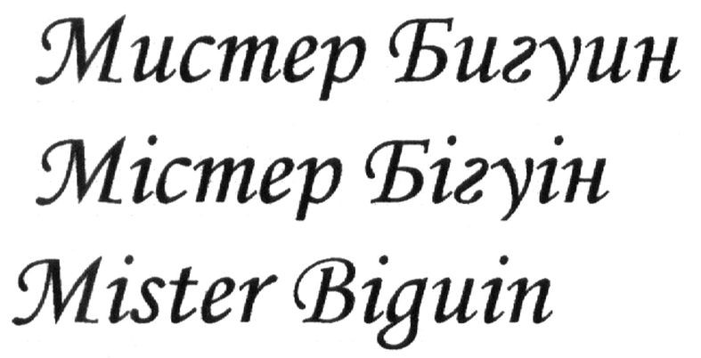 mister biguin