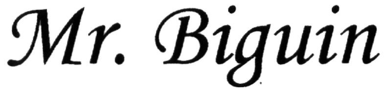mr.biguin
