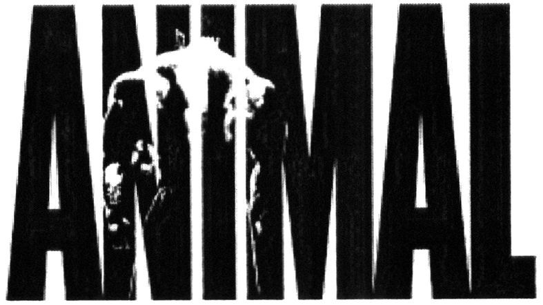 animal