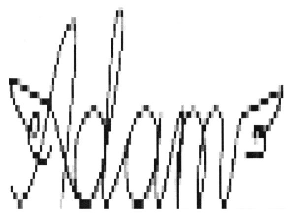 adam