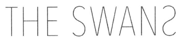 the swans