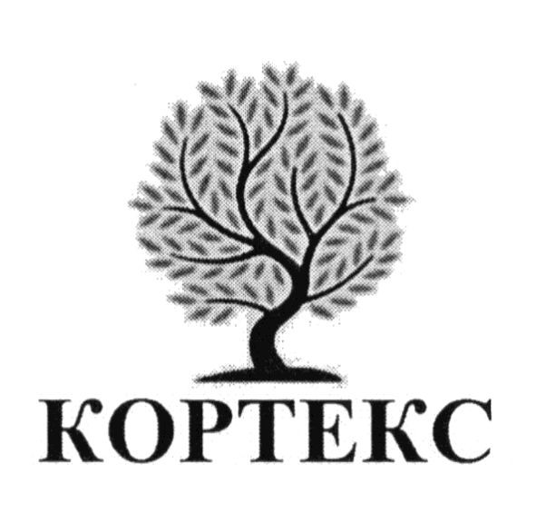 кортекс