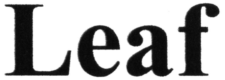 leaf
