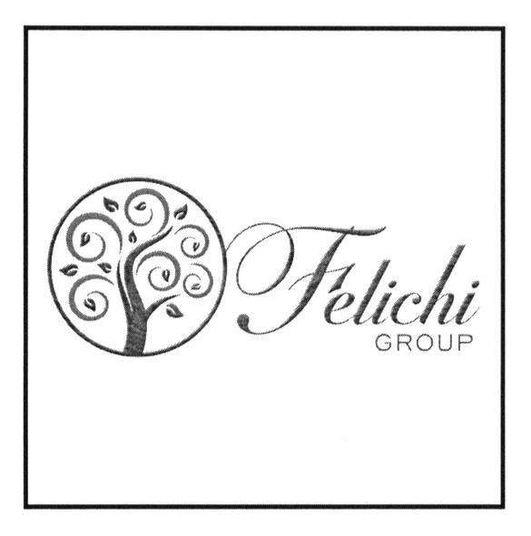 felichi group