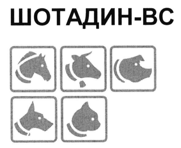 шотадин-вс