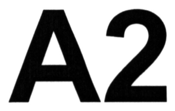 a2
