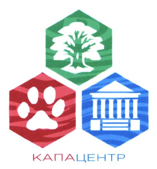 капацентр