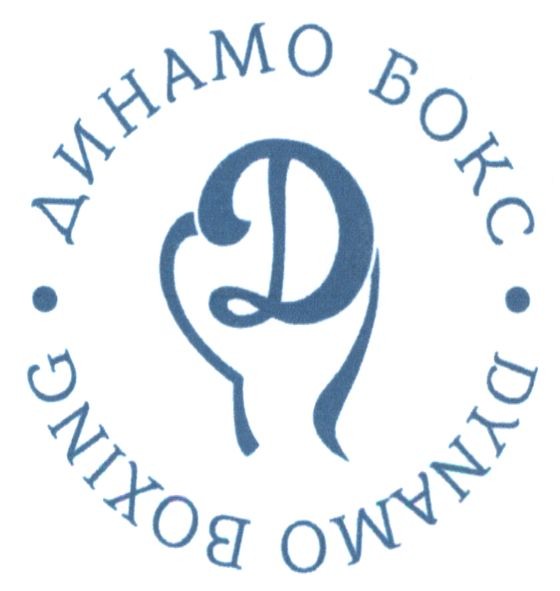 dynamo boxing