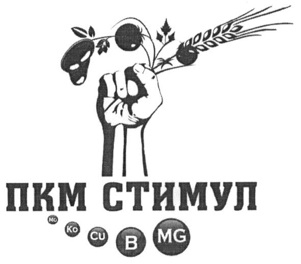 пкм стимул