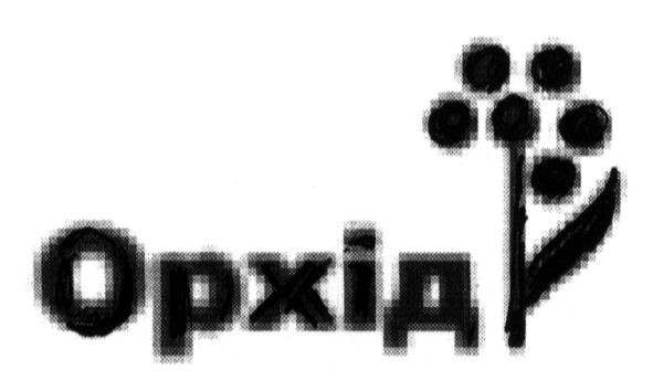 орхід