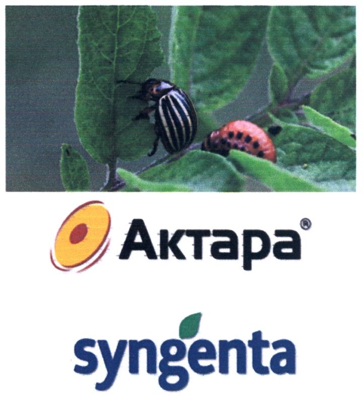 syngenta