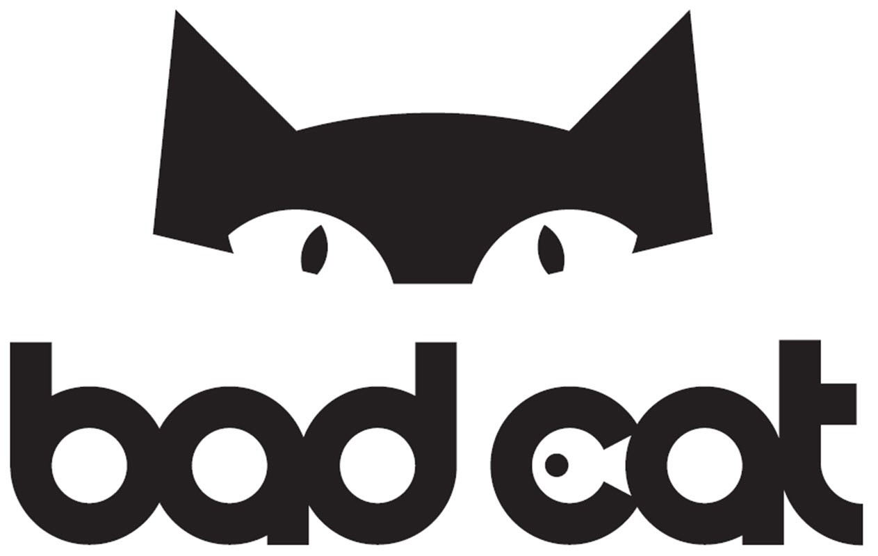 bad cat
