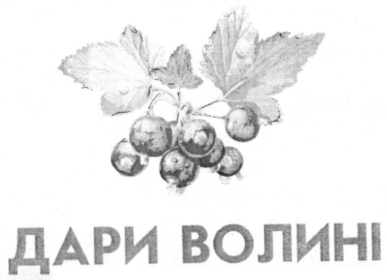 дари волині