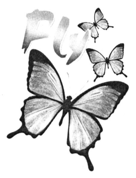 fly
