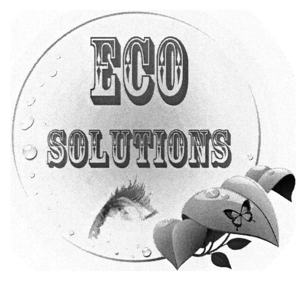 eco solutions