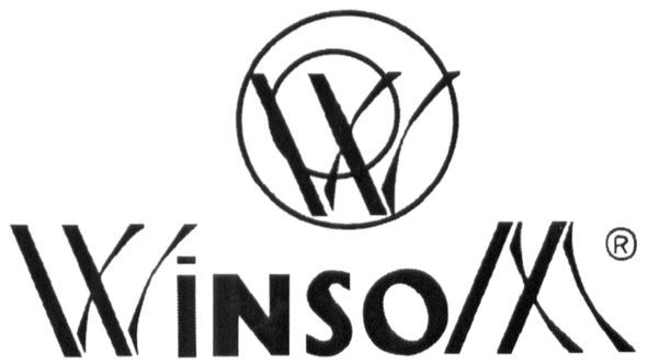 winsom