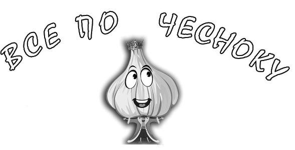 все по чесноку