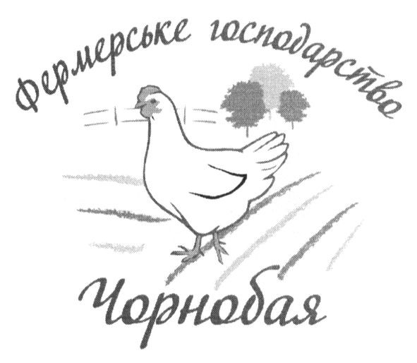 фермерське господарство чорнобая