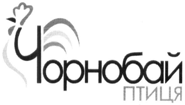 чорнобай птиця