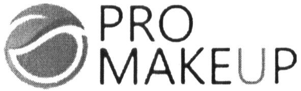 pro makeup