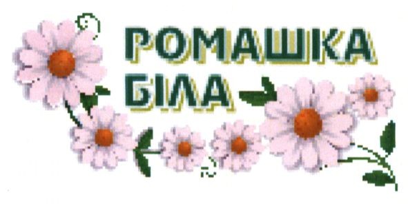 ромашка біла
