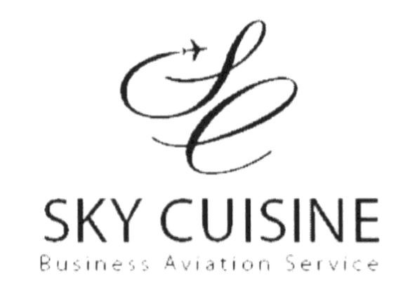 business aviation service