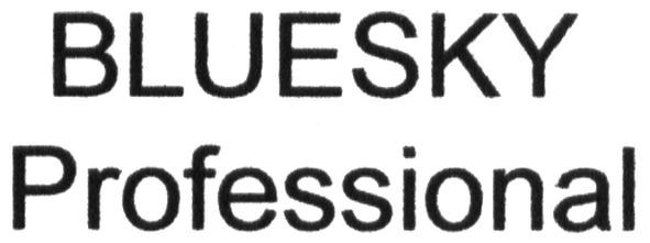 bluesky professional