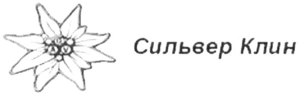 сильвер клин