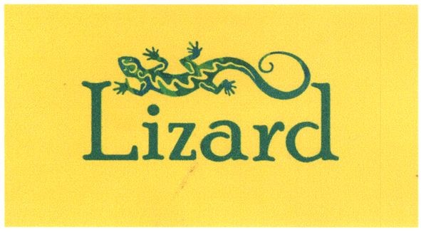 lizard