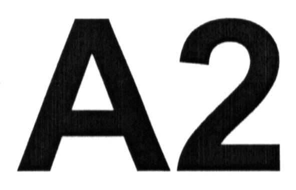 a2