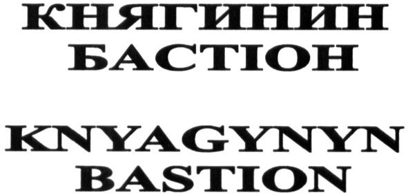 knyagynyn bastion