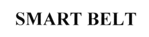 smart belt