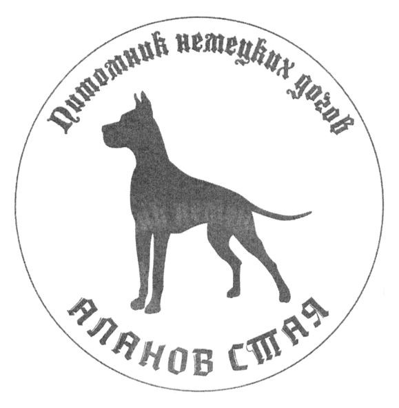 питомник немецких догов