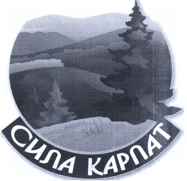 сила карпат