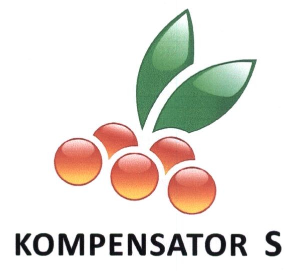kompensator s