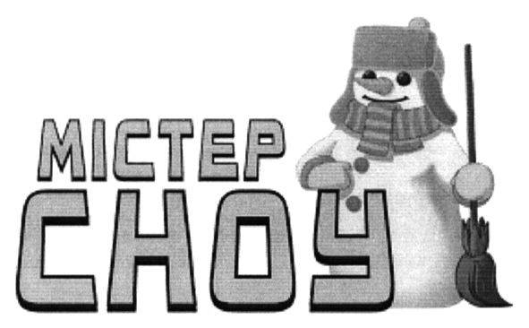 містер сноу