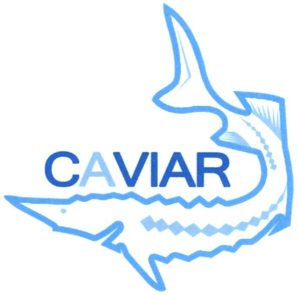 caviar