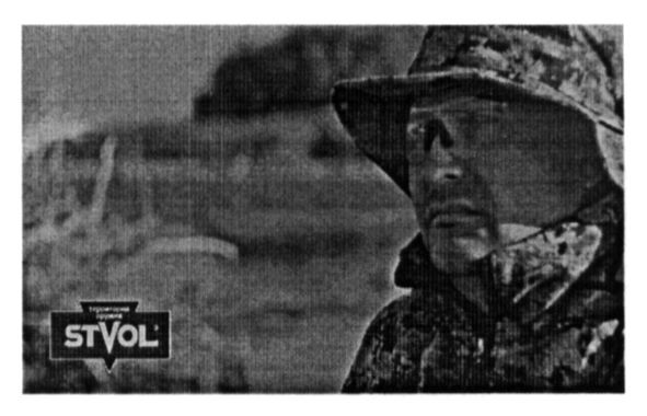 территория